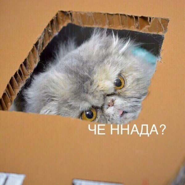  -      - 2