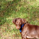 ���� ���/120/, �����-��������� - ��������� 8 ������� 2017 � ������ �����