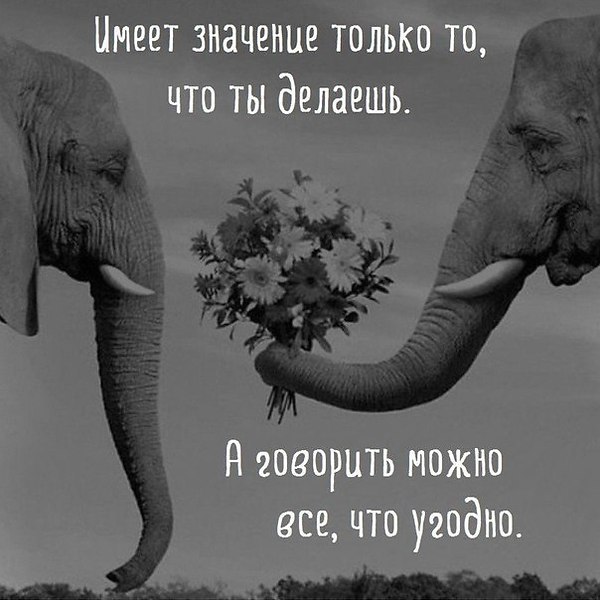  Www - 15  2017  10:20