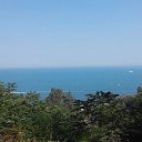 ���� ������, �����, 40 ��� - ��������� 31 ������� 2017 � ������ ���� ����������