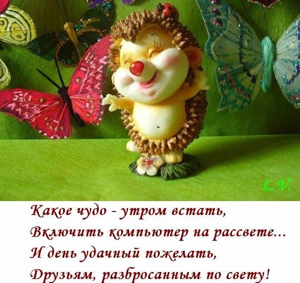 ***Victoria Viktorovna*** - 19  2017  03:23