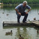 ���� ������, �����, 66 ��� - ��������� 20 ���� 2017 � ������ �� � ��������