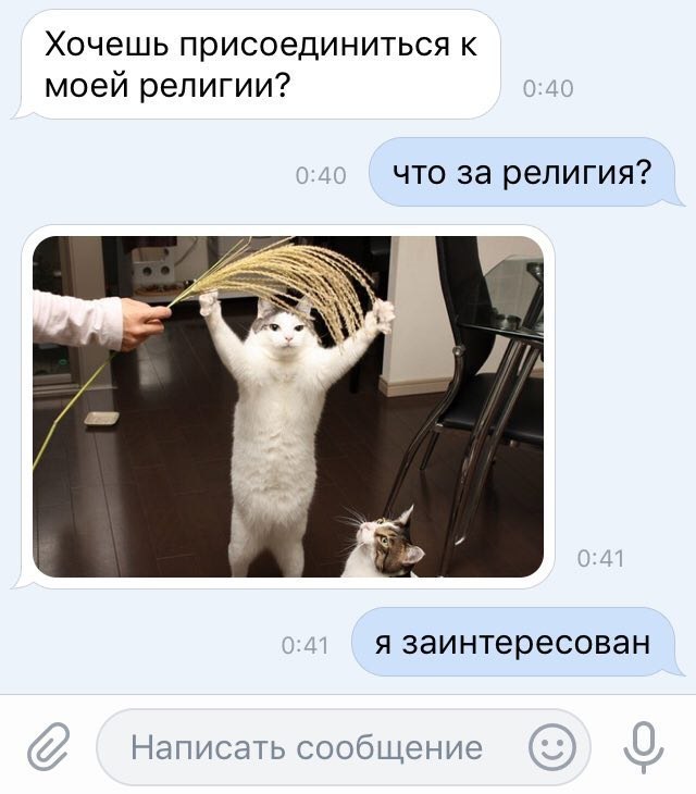  - 29  2017  13:11