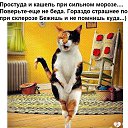���� ���������, ������������, 53 ���� - ��������� 17 ������� 2017 � ������ ���� ������������ ��������