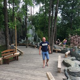 ���� ����, ���������, 41 ��� - ��������� 16 ���� 2017