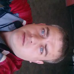 ���� �������, ������, 41 ��� - ��������� 18 ������ 2017