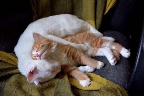     :3 - 2
