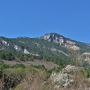  , , 60  -  11  2017     ,,01.04.17