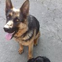 ���� ������, ���������, 65 ��� - ��������� 8 ���� 2017 � ������ ���� ����������