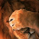 ���� �������, �����-���������, 55 ��� - ��������� 16 ���� 2017 � ������ ���������Ȼ