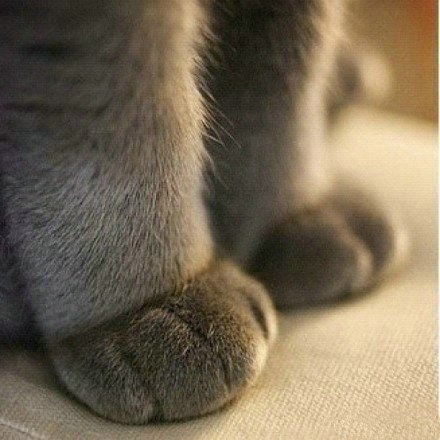      ,     : - 5