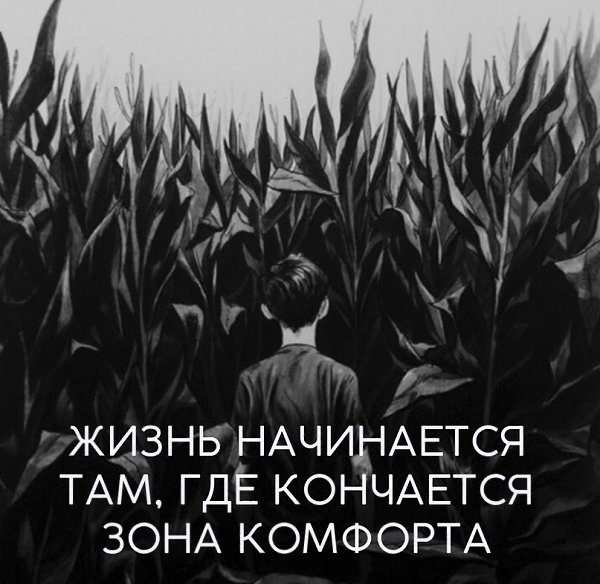 IQ Blog: , , ,  - 29  2017  19:09