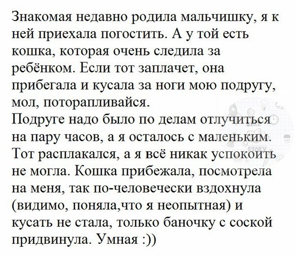  |  |  - 7  2017  09:24