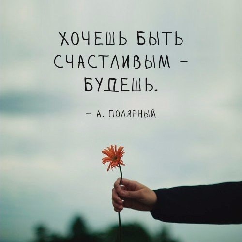  | ,  - 8  2017  20:31