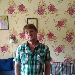 ���� ������, �����, 66 ��� - ��������� 24 ������� 2017