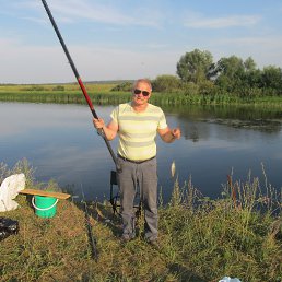 ���� ������, ������, 71 ��� - ��������� 3 ������� 2017