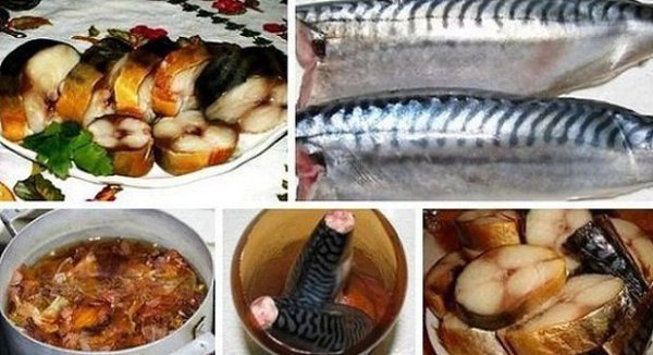 Нереально вкусная скумбрия за 3 минуты. Ингредиенты: -Скумбрия (средняя) — 1 шт -Луковая шелуха ...