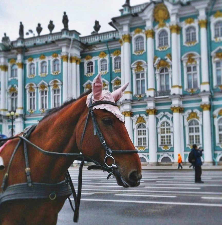   ,   : https://fotostrana.ru/away?to=/sl/h4Z,       ...