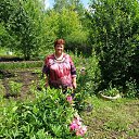 ���� ������, ������� - ��������� 5 ���� 2017