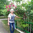 ���� ����, ������ - ��������� 3 ���� 2017 � ������ ���������� ������