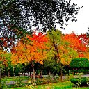  ,  -  24  2017                   Ѩ       һ