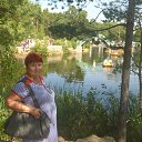  , , 64  -  23  2017     .  2017