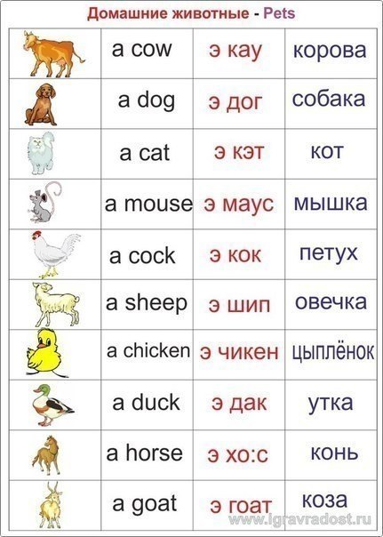   . ,  - 7