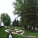 ���� ������, ���������, 49 ��� - ��������� 9 ��� 2017 � ������ ���������� ������