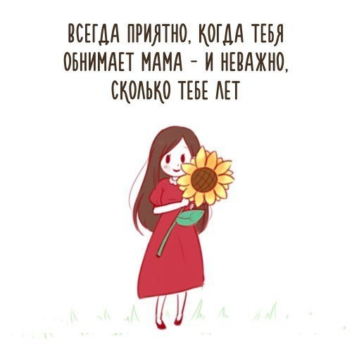   -  ,  -  - 13  2017  09:10