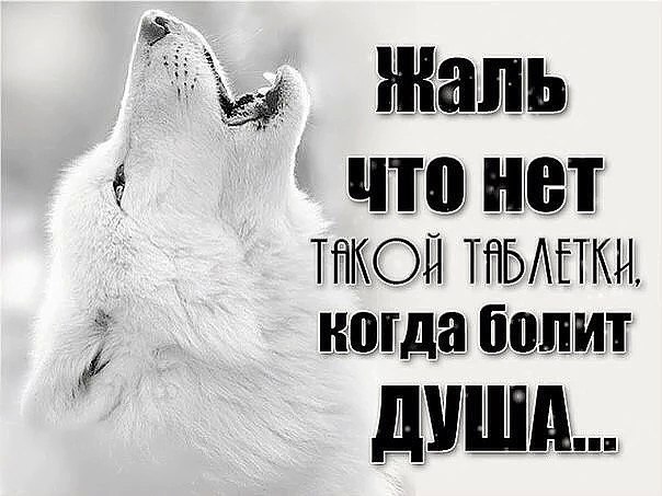   - 3  2017  23:40