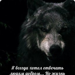 ���� Ilya, ���������, 50 ��� - ��������� 20 ������ 2017