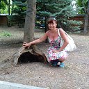 ���� �������, �����-��������� - ��������� 6 ������� 2017 � ������ ������� 2017�