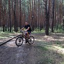  ,  , 37  -  2  2017    