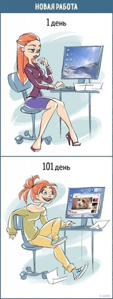 10 комиксов о том, как меняется наше отношение к любым вещам за каких-то 100 дней. - 3