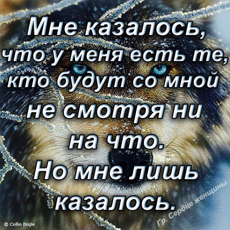 Статус уставший. Цитаты про жизнь. Высказывания про усталость. Цитаты про усталость. Статусы от усталости от жизни.