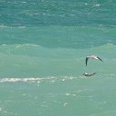  , , 60  -  8  2017   ,01.10.-06.10.17.