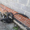 ���� �������� ����, ������, 46 ��� - ��������� 11 ���� 2017 � ������ ����