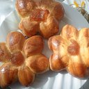 ���� ������, ���� - ��������� 26 �������� 2017 � ������ �������