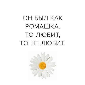   -  ,  -  - 2  2017  09:11