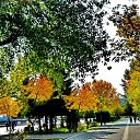  ,  -  24  2017                   Ѩ       һ