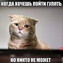 ���� Sergey, ����, 34 ���� - ��������� 3 ���� 2017