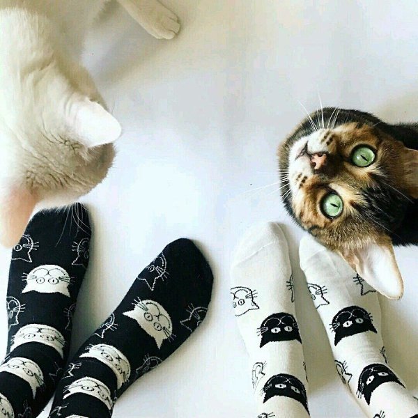     - 4