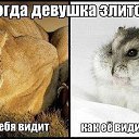 ���� ������., ���������, 50 ��� - ��������� 9 �������� 2017 � ������ ������ ��������