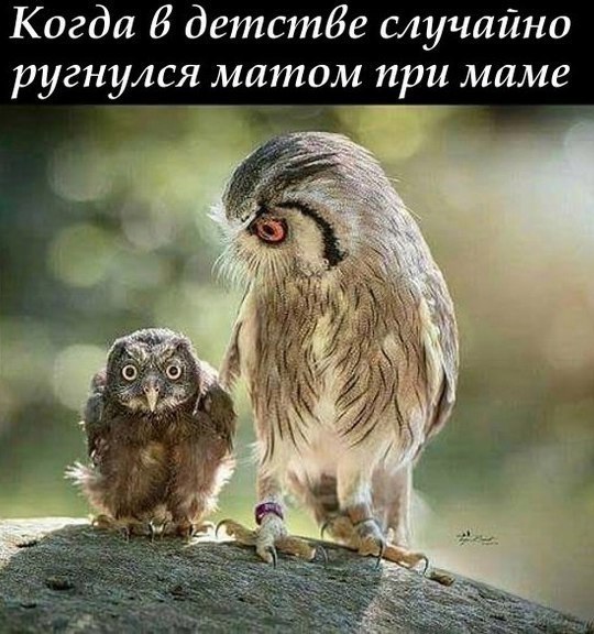    :D - 13  2017  16:34