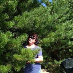 �����, ���������, 49 ���