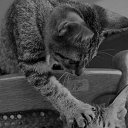 ���� �����, ��������� - ��������� 10 ���� 2017 � ������ ������ ��������