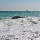  , , 60  -  8  2017   ,01.10.-06.10.17.