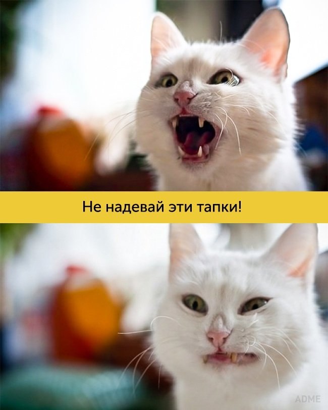  - 2  2017  20:00