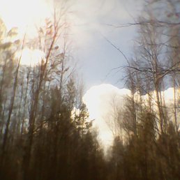 ���� ����, �����������, 47 ��� - ��������� 12 ��� 2017