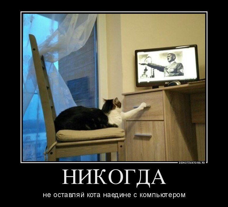    .     ))) - 11